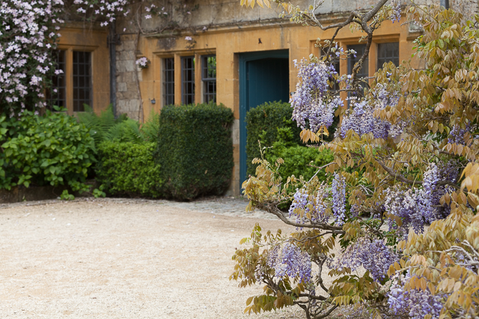 Hidcote 2015 (26)
